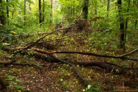 13057_838-561.jpg 13057_838-561.jpg