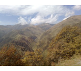 01 040 02102018615inet