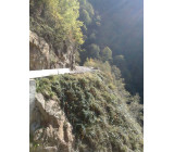 01 009 02102018556inet