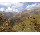 01 039 02102018623inet