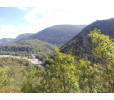 DSCN1028inet DSCN1028inet