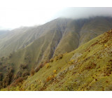 01 042 021020181063inet