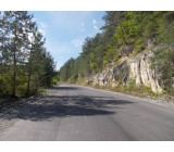 DSCN1033inet DSCN1033inet