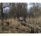 WP 20160319 12 56 14 Pro