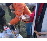 WP 20160319 17 11 28 Pro