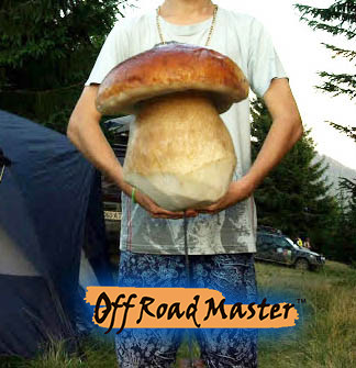 GribiKarpat IMGP4826 2min