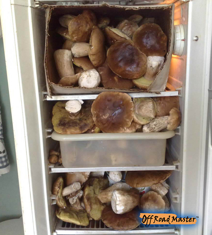 220520161448site Min