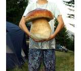 GribiKarpat IMGP4826 2min