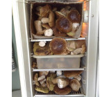 220520161448site Min