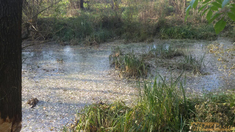 image 0 02 05 061ac4860af79aa66da423a5ed6b7070da48538a7ca6422c2d758de6d60032a3 V