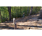 image 0 02 01 06d784d40865c673ea4ab49a8503199eb39dc3324acd87598a216d51dbdd5b29 V