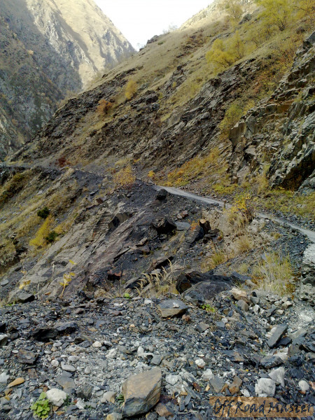 071020162684 071020162684