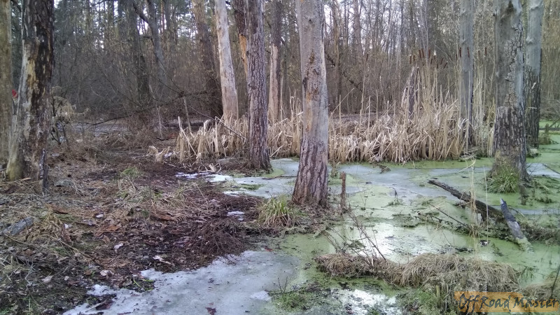 IMG 20170307 152746 IMG 20170307 152746