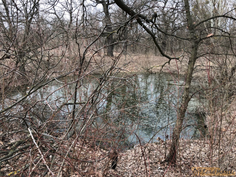 IMG 20180405 172252 IMG 20180405 172252