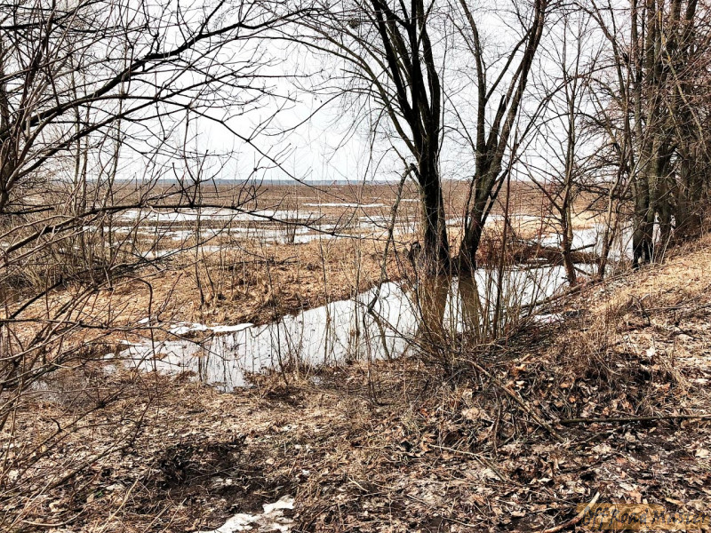 Без имени 4 Без имени 4