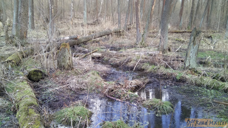 IMG 20170307 152546 IMG 20170307 152546