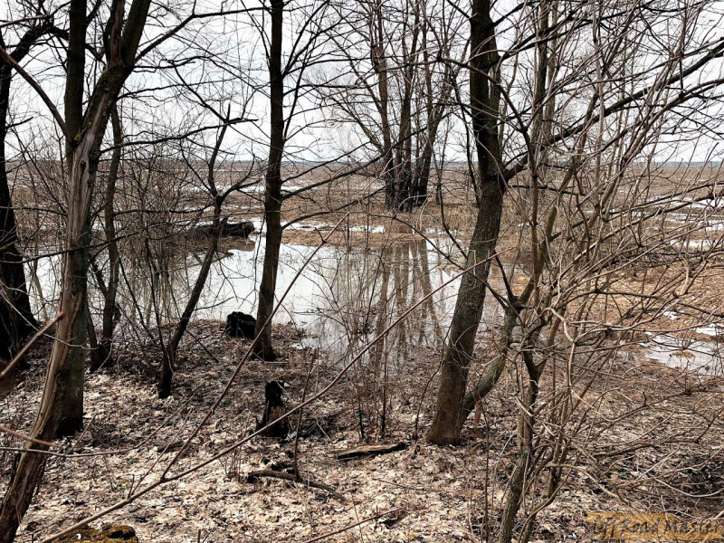 Без имени 5 Без имени 5