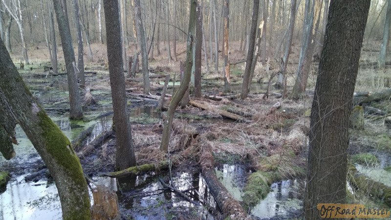 IMG 20170307 152455 IMG 20170307 152455