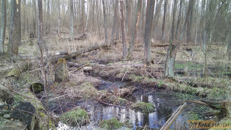 IMG 20170307 152534 IMG 20170307 152534