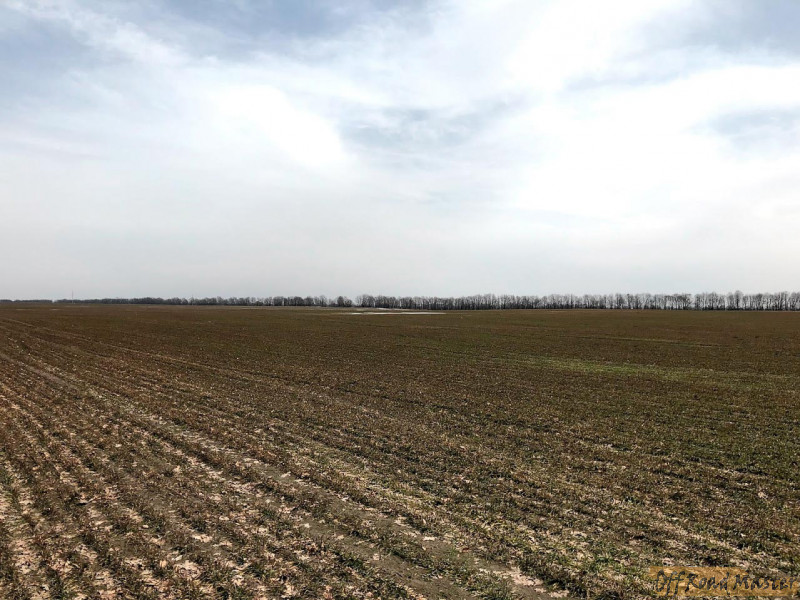 Без имени 8 Без имени 8