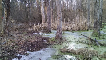 IMG 20170307 152746 IMG 20170307 152746