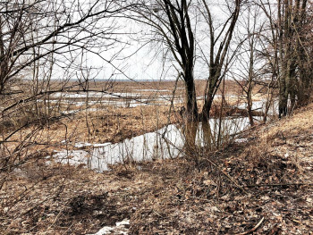 Без имени 4 Без имени 4