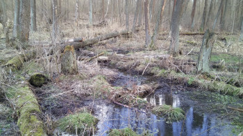 IMG 20170307 152546 IMG 20170307 152546