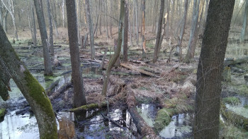 IMG 20170307 152455 IMG 20170307 152455