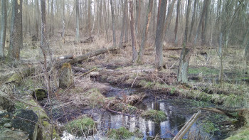 IMG 20170307 152534 IMG 20170307 152534