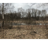 IMG 20180405 172258 IMG 20180405 172258