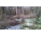 IMG 20170307 152746 IMG 20170307 152746