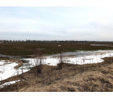 Без имени 6 Без имени 6