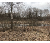 IMG 20180405 172300 IMG 20180405 172300