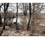 Без имени 5 Без имени 5