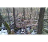 IMG 20170307 152455 IMG 20170307 152455