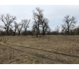 IMG 20180405 172255 IMG 20180405 172255