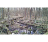 IMG 20170307 152534 IMG 20170307 152534