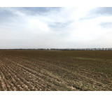 Без имени 8 Без имени 8