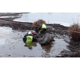 15156958 1287173788001017 7573872712023637977 O