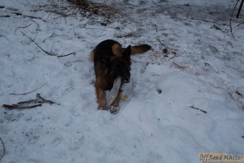 IMG_8960.jpg IMG_8960.jpg