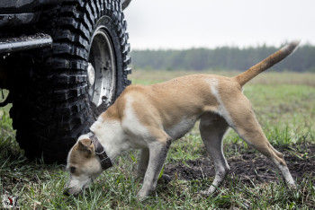 93A7933 копия 93A7933 копия