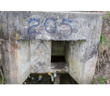 IMG_2513.jpg IMG_2513.jpg