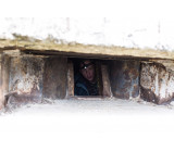 IMG_2629.jpg IMG_2629.jpg