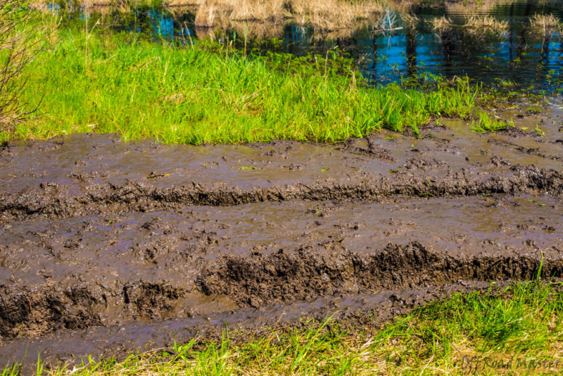 IMG_3142.jpg IMG_3142.jpg