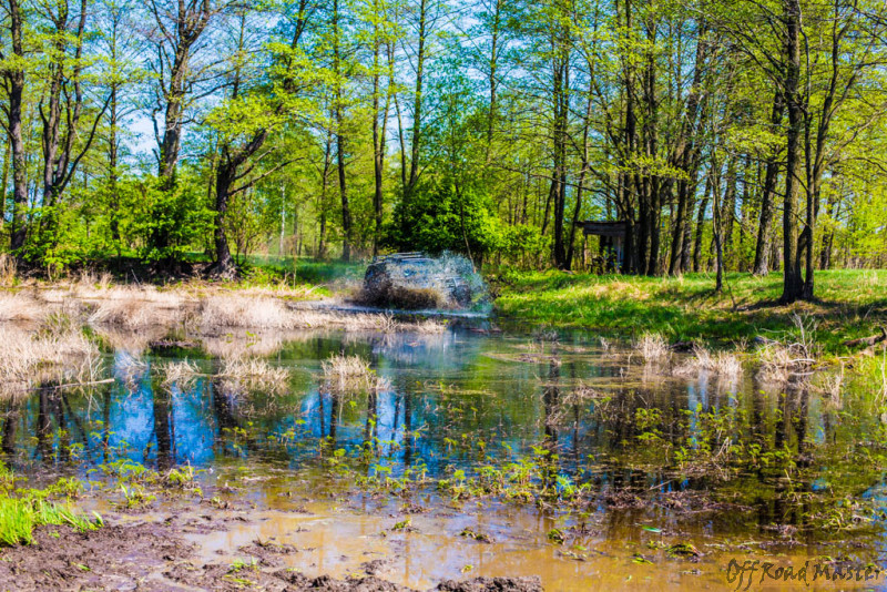 IMG_3172.jpg IMG_3172.jpg