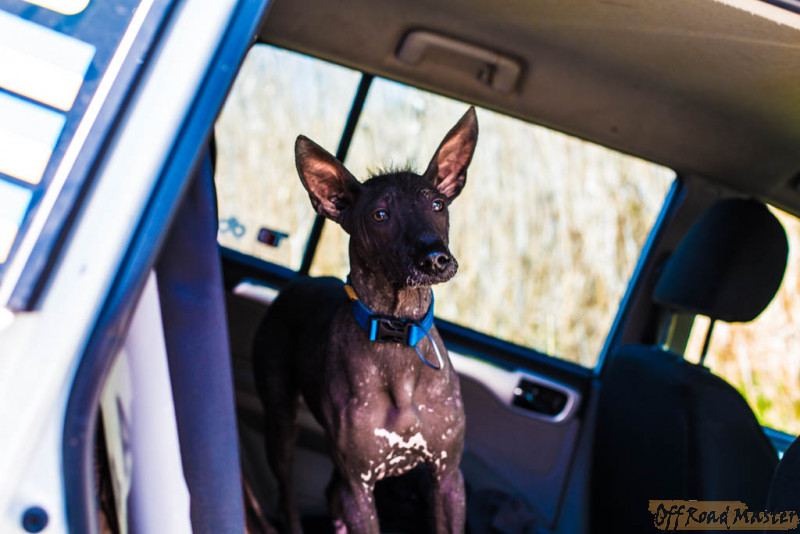 IMG_3051.jpg IMG_3051.jpg