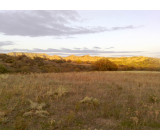 17102017155net 17102017155net