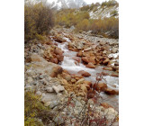 22102017293net 22102017293net