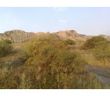 18102017162net 18102017162net