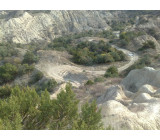 18102017382net 18102017382net